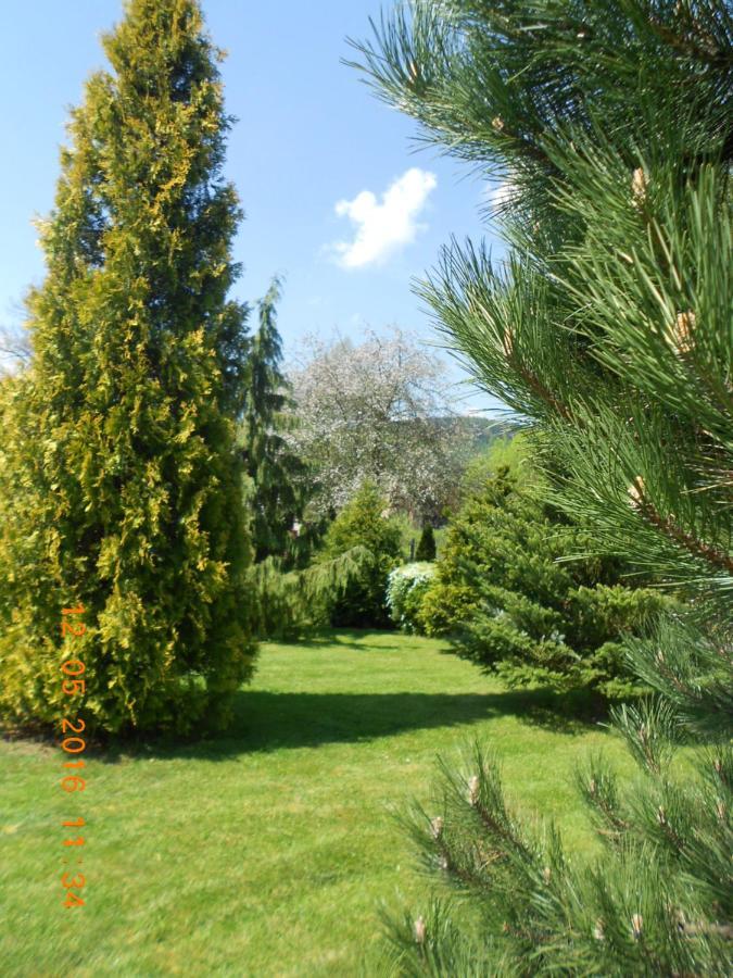Agroturystyka Zielony Ogrod Scinawka Srednia Екстериор снимка
